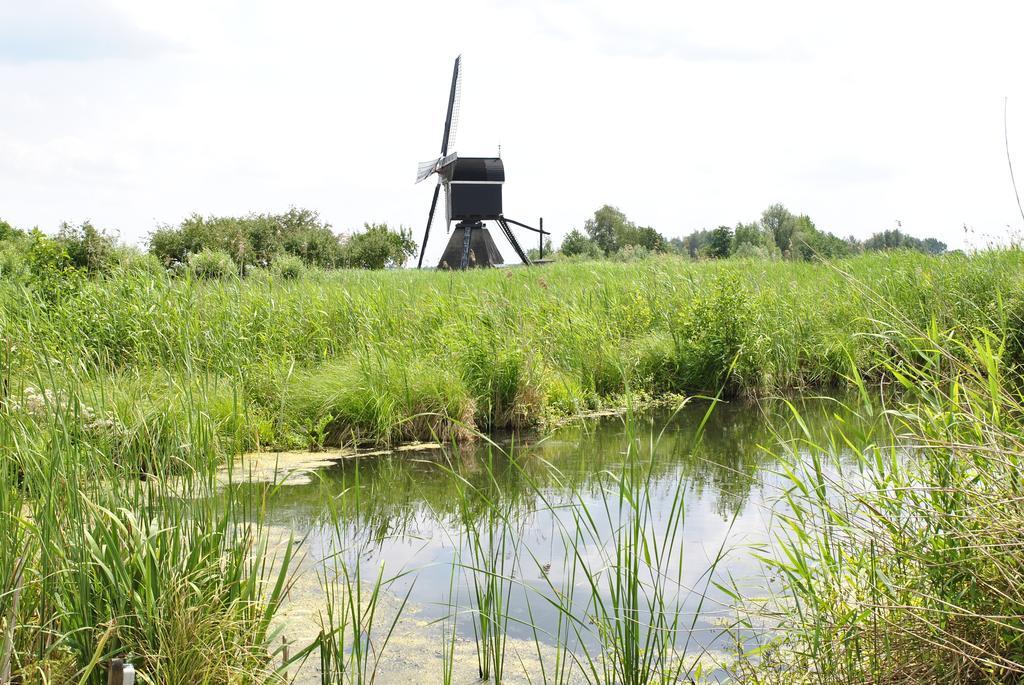 Camping De Grienduil Nieuwland  Kültér fotó