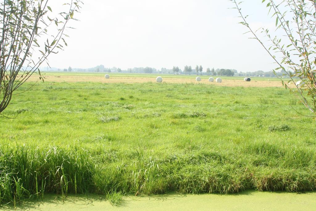 Camping De Grienduil Nieuwland  Kültér fotó